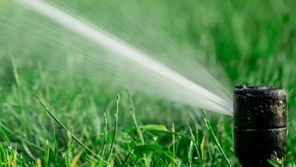 Automatic-irrigation